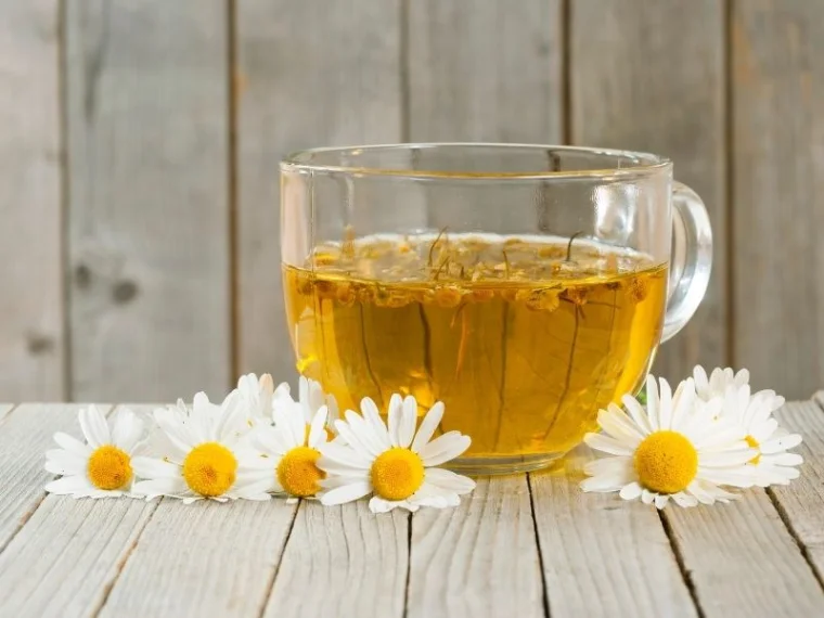 A close-up photo of a cup of chamomile tea with a sprig of lavender alongside