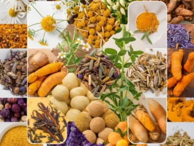 A collage of different herbs used in remedies (e.g., chamomile, lavender, turmeric