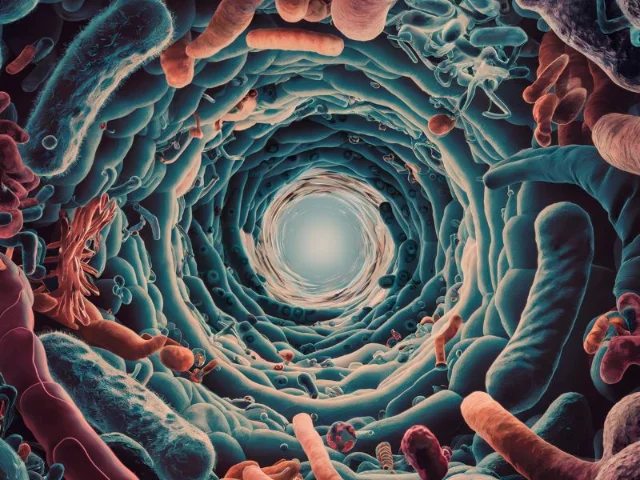illustration of a diverse range of bacteria residing in the human gut microbiome