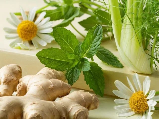 organic composition of various herbs known for their digestive benefits