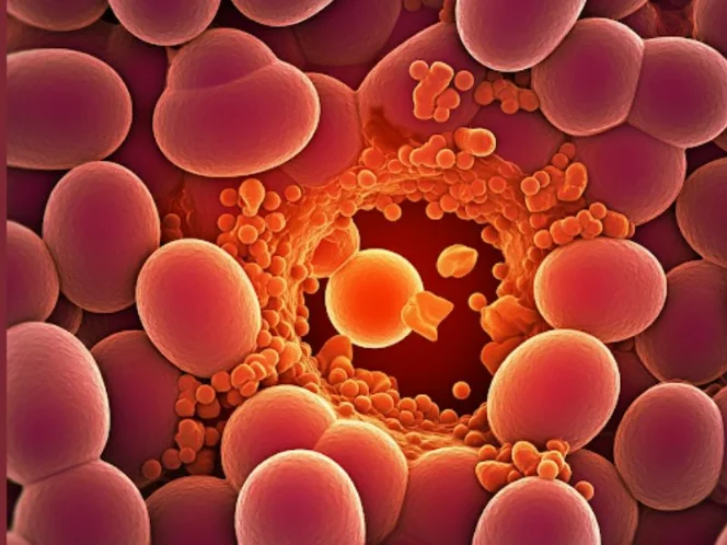 A microscopic close-up of gut microbes breaking down food particles, illustrating their role in digestion