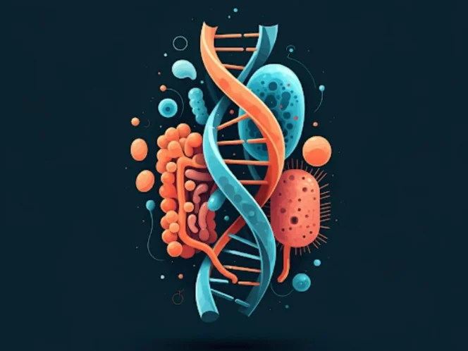 A stylized representation of the DNA double helix, symbolizing the influence of genetics on the gut microbiome
