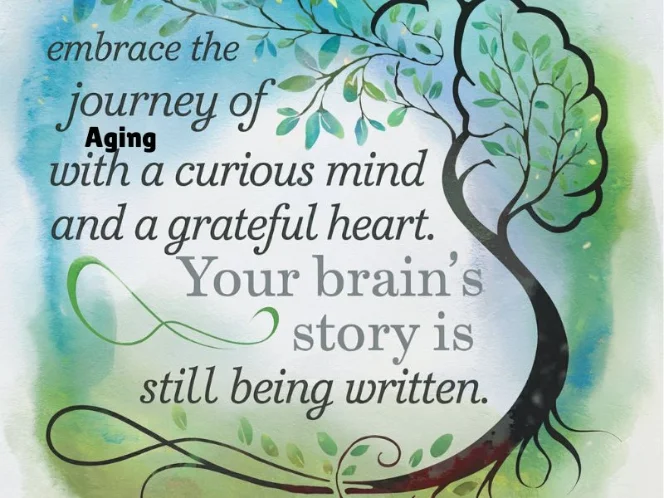 Watercolor style graphic with a quote that reads 'Embrace the journey of aging with a curious mind and a grateful heart. Your brain's story is still being written