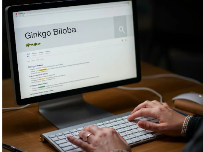 A person using a computer or smartphone to search for information about Ginkgo Biloba, perhaps with a search bar showing the "People Also Ask" queries.)