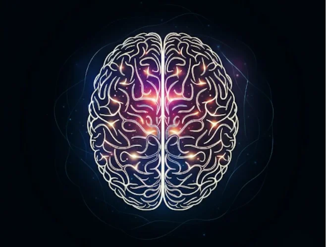 a stylized illustration of a brain with neural pathways illuminated, symbolizing enhanced brain activity