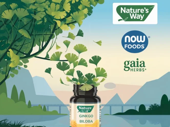 an image of Logos of reputable Ginkgo Biloba supplement brands, such as Nature's Way, Now Foods, or Gaia Herbs