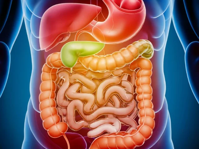 You are currently viewing Herbal Remedies for Digestive Health: Soothe Your Gut, Boost Your Well-Being